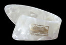 Golden Gate GP-6 Large Pearl Thumbpicks - 12 Pack