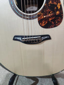 Furch Rainbow Gc-AG Adirondack Spruce Top, Madagascar Rosewood B/S with Anthem