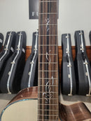 Furch Rainbow Gc-AG Adirondack Spruce Top, Madagascar Rosewood B/S with Anthem