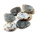 Prism Tones Ocean Jasper - Single Pick