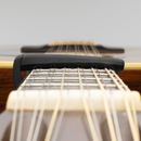 D'Addario NS Pro Plus Capo Black - PW-CP-19