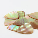 Abalone Tones Greenlip Abalone - Single Pick