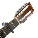 D'Addario NS Pro Plus Capo Silver - PW-CP-19S