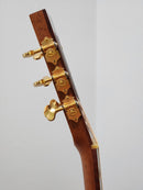 Maestro Special Build Traditional Series OO-CO AWH Cocobolo 00 with Anthem