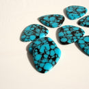 Timber Tones Stone Tone Guitar Pick - Blue Dragon Skin  - Single Pick