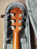 Furch Yellow Deluxe Gc Sunburst Cedar/Rosewood Bevel Duo w/LR Baggs SPE