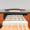 D'Addario NS Pro Plus Capo Silver - PW-CP-19S