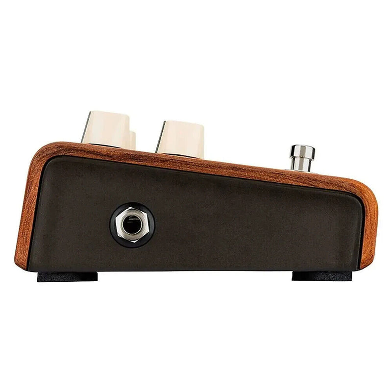 LR Baggs Align Series Reverb Acoustic Pedal