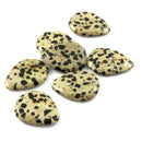 Prism Tones Dalmation Jasper - Single Pick
